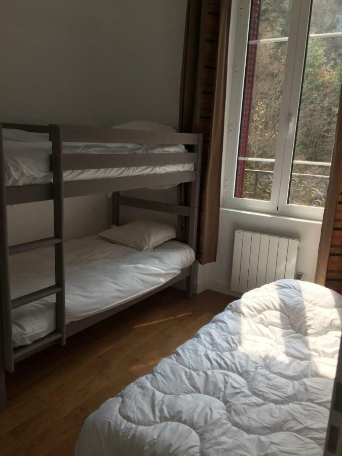 Magnifique Et Lumineux Appartement Au Coeur Du Sancy Saint-Nectaire Ngoại thất bức ảnh